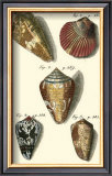 Buy Neptune's Treasure I at AllPosters.com