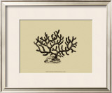 Buy Coral on Khaki III at AllPosters.com