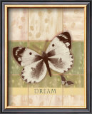 Dream