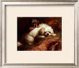 Buy Playful Encounter at AllPosters.com
