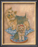 Terriers Framed Art Print
