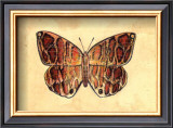 Buy Butterfly I at AllPosters.com