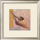 Buy Small Snail at AllPosters.com