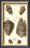Buy Neptune's Treasure III at AllPosters.com