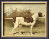 Buy Pointer at AllPosters.com