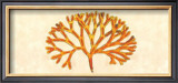 Buy Topaz Coral at AllPosters.com