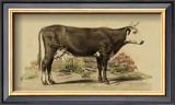 Buy Antique Cow IV at AllPosters.com