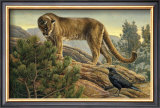 Buy Curiosity at AllPosters.com