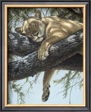 Buy Lake Manyara Lioness at AllPosters.com
