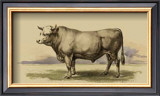 Buy Antique Cow I at AllPosters.com