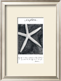 Buy Explore at AllPosters.com