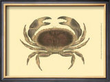 Buy Antique Crab IV at AllPosters.com