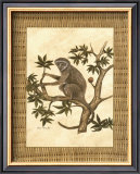 Monkey in a Tree II