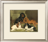 Buy Toy Spaniels at AllPosters.com