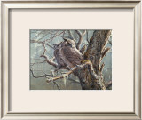 Buy Silent Forest (Great Horned Owls) at AllPosters.com