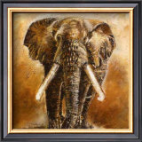 Buy Elephant at AllPosters.com