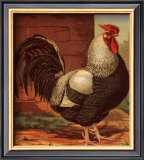 Buy Rose-Combed Dorking Cock at AllPosters.com