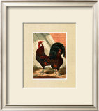 Buy Roosters with Mat V at AllPosters.com