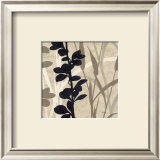Buy Botanical Elements IV at AllPosters.com