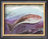 Buy Whale at AllPosters.com