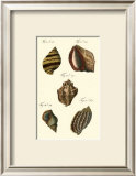 Buy Neptune's Treasure IV at AllPosters.com