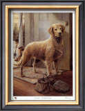 Loyal Companion