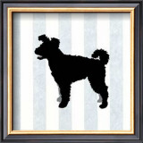 Buy Pumi in Neutral at AllPosters.com