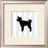 Buy Pumi in Neutral at AllPosters.com