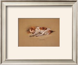 Buy Judy, a Spaniel Puppy at AllPosters.com