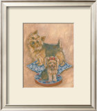 Terriers Framed Art Print