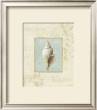 Buy Soothing Words Shells I at AllPosters.com