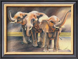 Buy Family of Elephants at AllPosters.com
