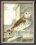 Buy Night Guardian III at AllPosters.com