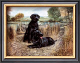 Buy Change of Seasons at AllPosters.com