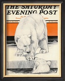 Buy Polar Bears, c.1919 at AllPosters.com