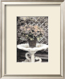 Buy Vintage Flowers II, Still Life with Birdbath at AllPosters.com
