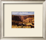 Buy Canyon Mustangs at AllPosters.com
