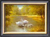 Buy Schwane at AllPosters.com