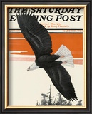 Buy Soaring Eagle, c.1924 at AllPosters.com