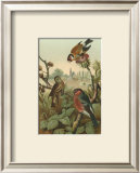 Finches