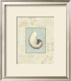 Buy Soothing Words Shells II at AllPosters.com