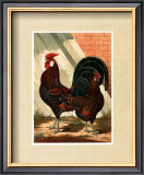 Buy Roosters with Mat V at AllPosters.com