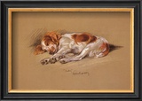 Buy Judy, a Spaniel Puppy at AllPosters.com