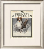 Herding Sheep, c.1916