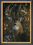 Buy An Autumn Gentleman at AllPosters.com