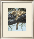 Buy Lake Manyara Lioness at AllPosters.com