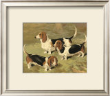 Buy Basset Hounds at AllPosters.com