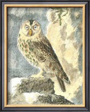 Buy Night Guardian II at AllPosters.com