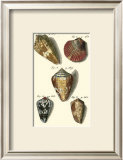 Buy Neptune's Treasure I at AllPosters.com