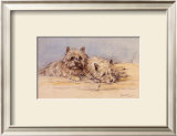 Buy Close Companions at AllPosters.com